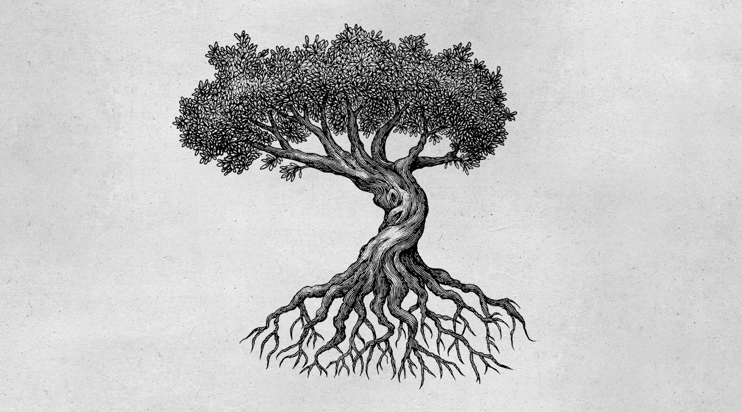 Tree Image